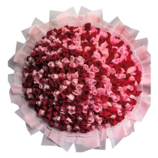 400 rosas rojas y rosas
