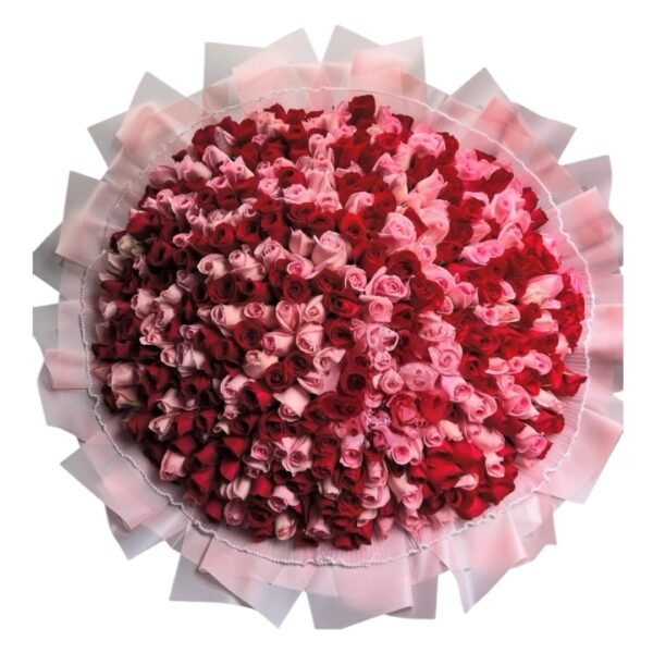 400 rosas rojas y rosas