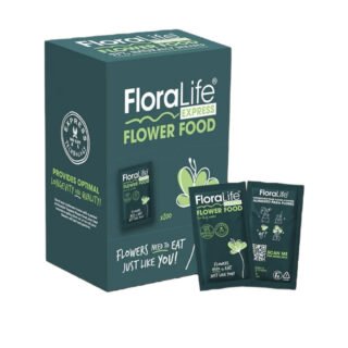 Express Universal 300