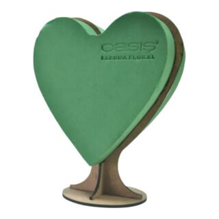 Espuma de Corazón 3D Oasis