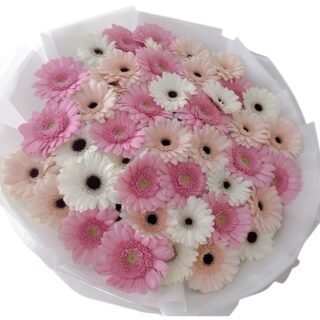 photoroom 20260206 163304