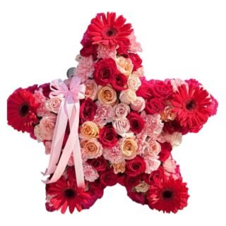 Estrella Gerberas y Rojas
