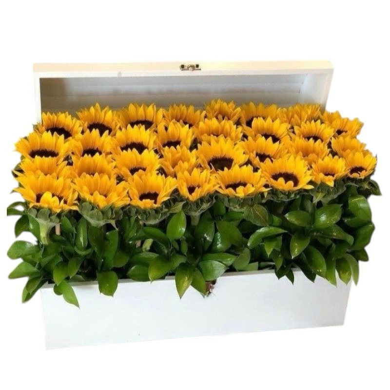 Cofre Girasoles