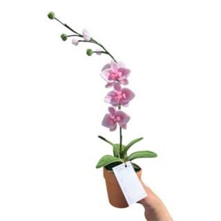 Orquídea Tejida